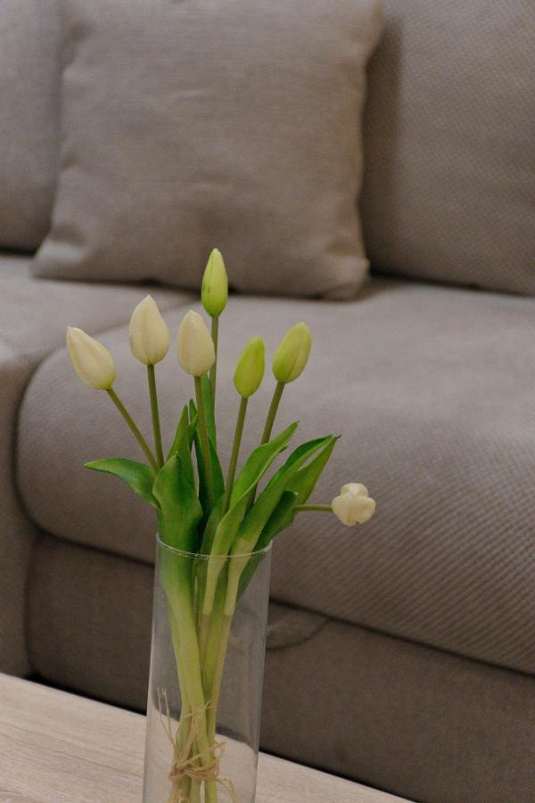 Apartment Anna - Free Pickup From Or Dropoff To Zagreb Airport At Any Time, Please Give Three Days Advance Notice - Long-Term Parking With Airport Transport Possibility Velika Gorica Exterior foto